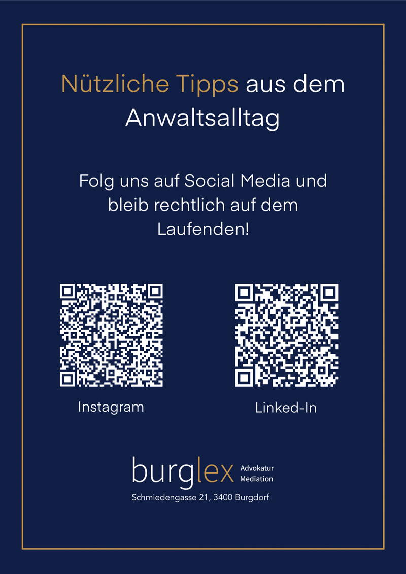 burglex_flyer_some.jpg