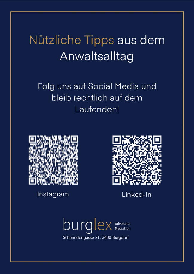 burglex_flyer_some.jpg